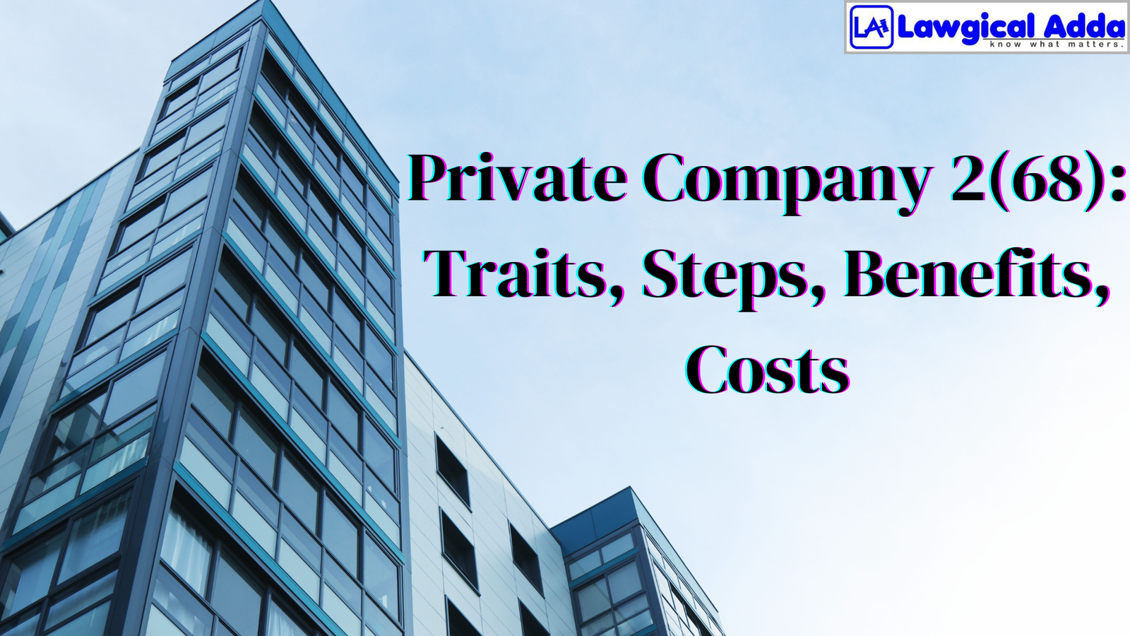 Private Company 2(68): Traits, Steps, Benefits, Costs