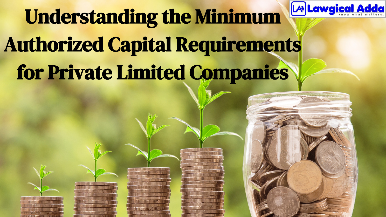 Understanding the Minimum Authorized Capital Requirements for Private Limited Companies