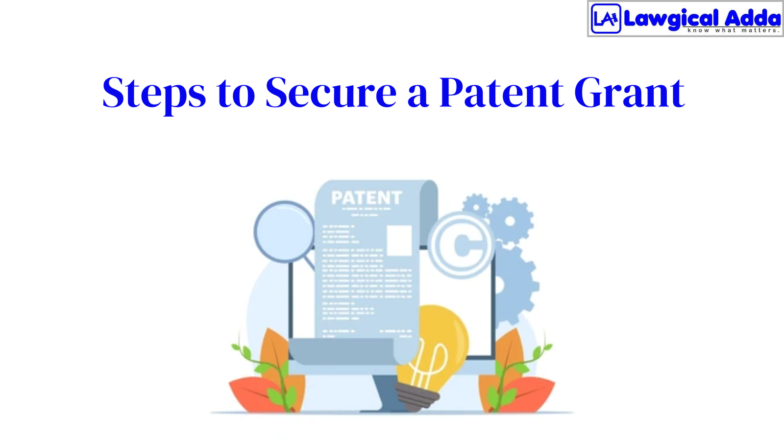 Steps to Secure a Patent Grant