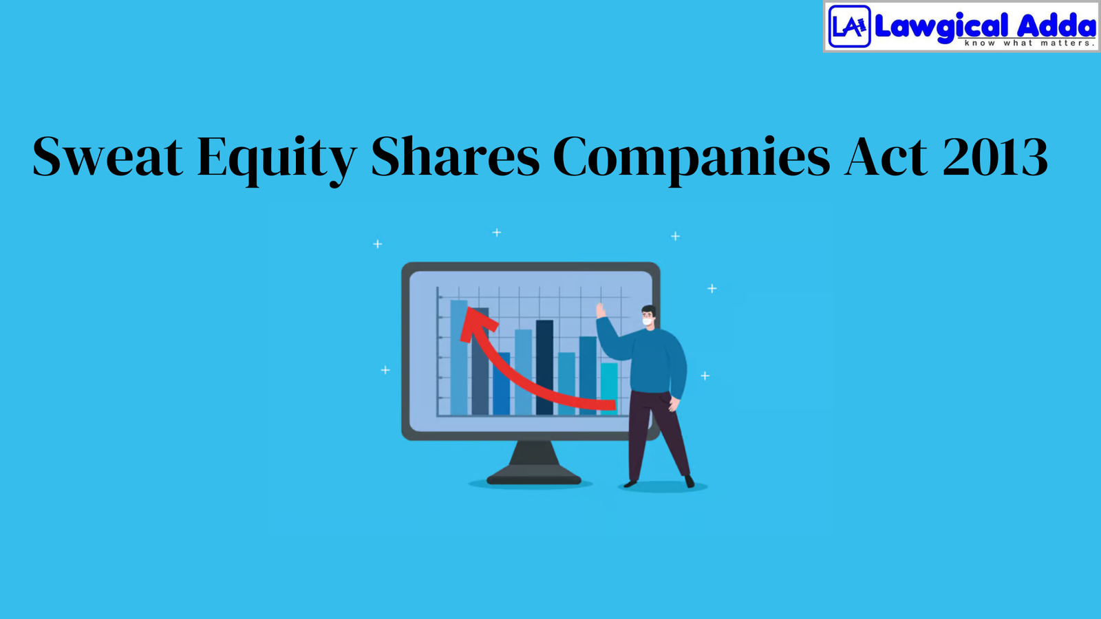 Sweat Equity Shares Companies Act 2013